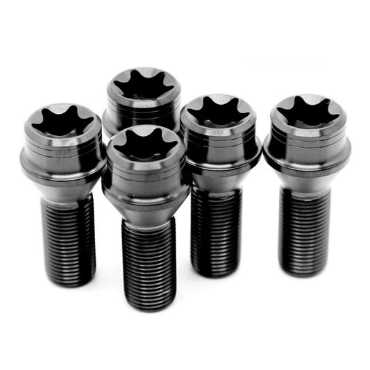 BMW/Mini Titanium Lug Bolts Torx Drive M14x1.25mm Conical Seat (Package of 20pcs)